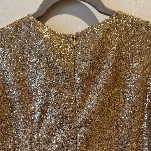 Florence Fancy Holiday Sequin Patterned dress size 14(kids) - Picture 6 of 6